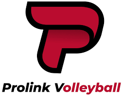 Prolink Volleyball